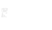 kingston logo